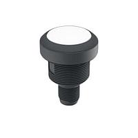 RAFI 1.10.071.201/0221 Pushbutton Switches RAMO 22 I  Flexlab
