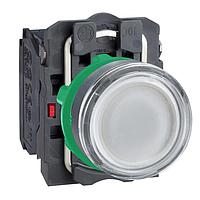 SCHNEIDER XB5AW31B5 Flush PUSH BUTTON LED 24V 22MM XB5B