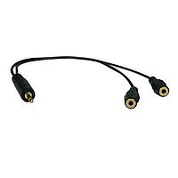 Tripp Lite P313-001 Adapter Cable 3.5mm MINI M/2X F Y SPLITTER - 1'