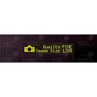 Matrix Orbital BLC2021-BL-IY PC Bay Inserts, LCD Characters 20x2 Yellow Txt Black Background