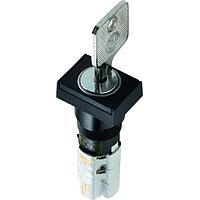 RAFI 1.15.108.572/0100 Keylock Switches 1 NC MOMNTRY 15.2mm SCRW TERM