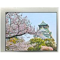 KYOCERA Display TCG057VGLCCANN-GN00 TFT LCD Displays 5.7", VGA 40Kh LEDlife