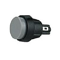 Marquardt Switches Inc 5000.0104 Standard Switches PUSHBUTTON SPNO