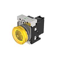 EAO 45-1T00.20G8.000.100 Indicators (45-1T00.20G8.000.100)