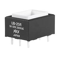 NKK Switches UB25RKW03N Pushbutton Switches RECT DPDT ON(ON) PC BODY ONLY 6A