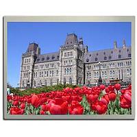 KYOCERA Display TKL-104SOB-18078-A Development Kits Optically bonded TFT LCD Display Development Kit includes the display, graphic board, OSD board, interface cable, backlight cable if needed, VGA and DVI cables and power kit.