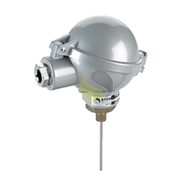 Sterling Sensors TMBHIN6MM300005B Mineral Insulated Thermocouple with Industrial (BUZ) Head (Type N; Nicro 6mm x 300mm)