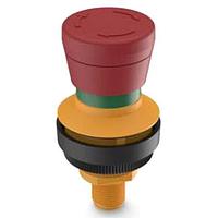 RAFI 1.11.031.011/0000 Push Turn RAMO 30 E M12 2 unbel. 5-pol