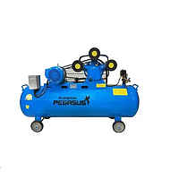 PEGASUS TM-W-0.9/8-230L đầu nổ Belt Drive Air Compressor