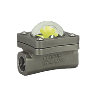 Senseca RM-025GR Flow Indicator (DN 25 - G 1, 60 l/min)