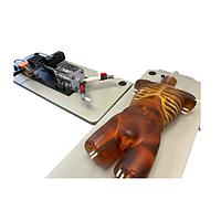 True Phantom Solutions TO-A03 Adult Torso (Cardiac) For X-Ray CT, MRI