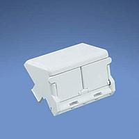 Panduit CHS2AW-X Wire Ducting & Raceways Insert 2 Port Sloped Arctic White