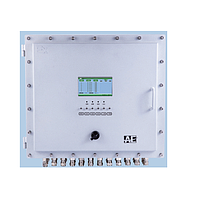 AIYI AGS1000D Toxic Gas Control Unit
