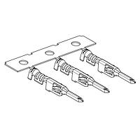 Molex 215953-0043 Plug Micro-Fit WtW plug TML 16