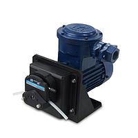 Leadfluide FG600S-A3 Explosion-proof Peristaltic Pump (0.006-6L/min, 2 CH)