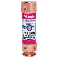 Mersen TR60RID Time Delay Fuse 250V 60A TD RK5 FUSE SMARTSPOT