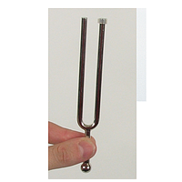 PHYWE 03421-00 Tuning Fork (880Hz)