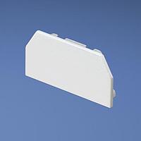 Panduit T45ECEI Power Rated Raceway T-45 End Cap Fitting