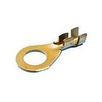 Aptiv 02973375 Accessories TERM RING STR CBL RGE 2.0-1.0