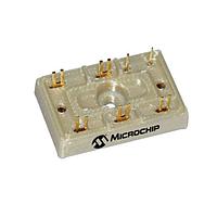 Microchip Technology MSCGLQ50A120CTBL1NG IGBT Modules PM-IGBT-SBD-BL1