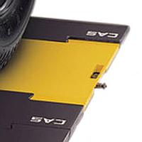 Bàn cân CAS RW-15P (15 tấn/10kg)