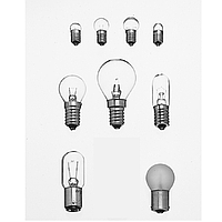 PHYWE 35673-03 Filament Lamps (6 V/3 W, E10)
