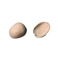 True Phantom Solutions CA-A01 Calvaria