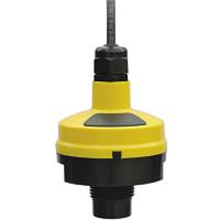 Flowline DL24 - 10 Liquid Level Transmitters (9.8’ (3m), without Fob, 1" G)