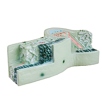 PHYWE MOD-LEAF Leaf Structure Model (46 x 19 x 23 cm)