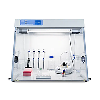 PCR Products