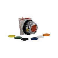 Square D 9001KR1UH7 Pushbutton Switches PSH BTTN 600VAC 10A 30MM, Type K