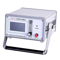 Wuhan HTWS-V Dew Point Meter (-80℃~+20℃, 0~19999uL/L)