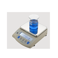 Precision scale