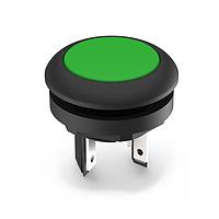 RAFI 1.15.210.001/0501 Sealed LUMOTAST 16 Pusbutton