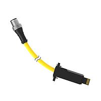 Banner Engineering DELPE-81DB Sensor Cables / Actuator Cables Cordset: Double Ended M12 to LP-Custom; 8-pin Straight Male; 8-pin Straight Male; 0.3 m 8x22 Black PVC Jacket; Nickel-Plated Brass Coupling Nuts