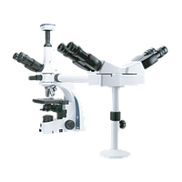 Meiji Techno MT-61/TH-3 Three Headed Teaching Microscopes (4X, 10X, 40X, 100X oil)