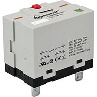 Schneider Electric Relays 725BXXBM4L-120A Standard Power Relay DPST-NO 25 A, Plug-In Term