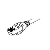 Belden C6F1308015 Cat 6 CBL ASSEMBLY CAT 6 CMR T568B OPEN 15 FT