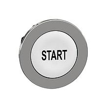 SCHNEIDER ZB4FA133 Pushbutton FLUSH WH CAPS PB HEAD BK MARKED START