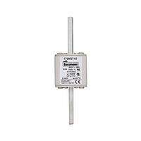 Eaton Bussmann 170M3710 High Speed Fuse 63A 690V 1*FU/115 AR UC