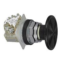 SCHNEIDER 9001KR25BH13 Pushbutton Switches PSH BTTN 600VAC 10A 30MM, Type K