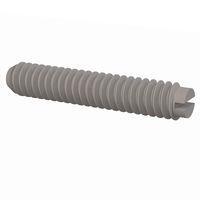 Essentra Components 011024S100 Set Screw Set Screw, Slotted Head, #10-24 Thread, 1 Lg