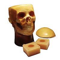 True Phantom Solutions HD-QC1 Head QC1 For X-Ray CT, US, MRI