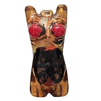 True Phantom Solutions US-A05 Adult Female Torso For X-Ray CT, US