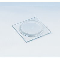 PHYWE 08551-00 Plate And Lens f. Newton Rings