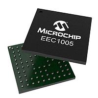 Processors Application Specialized