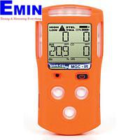 Single Gas Meter Inspection Service