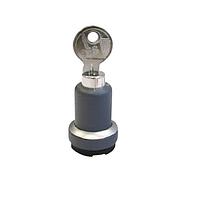 RAFI 1.30.275.811/0000 Keylock Switches RAFIX 22 FS+ key lock switch SSG10