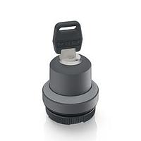 RAFI 1.30255.3010800 Keylock Switches