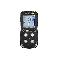 AIYI AGH6200F Portable Multi-Gas Detection (Ex: 0-100%LEL)